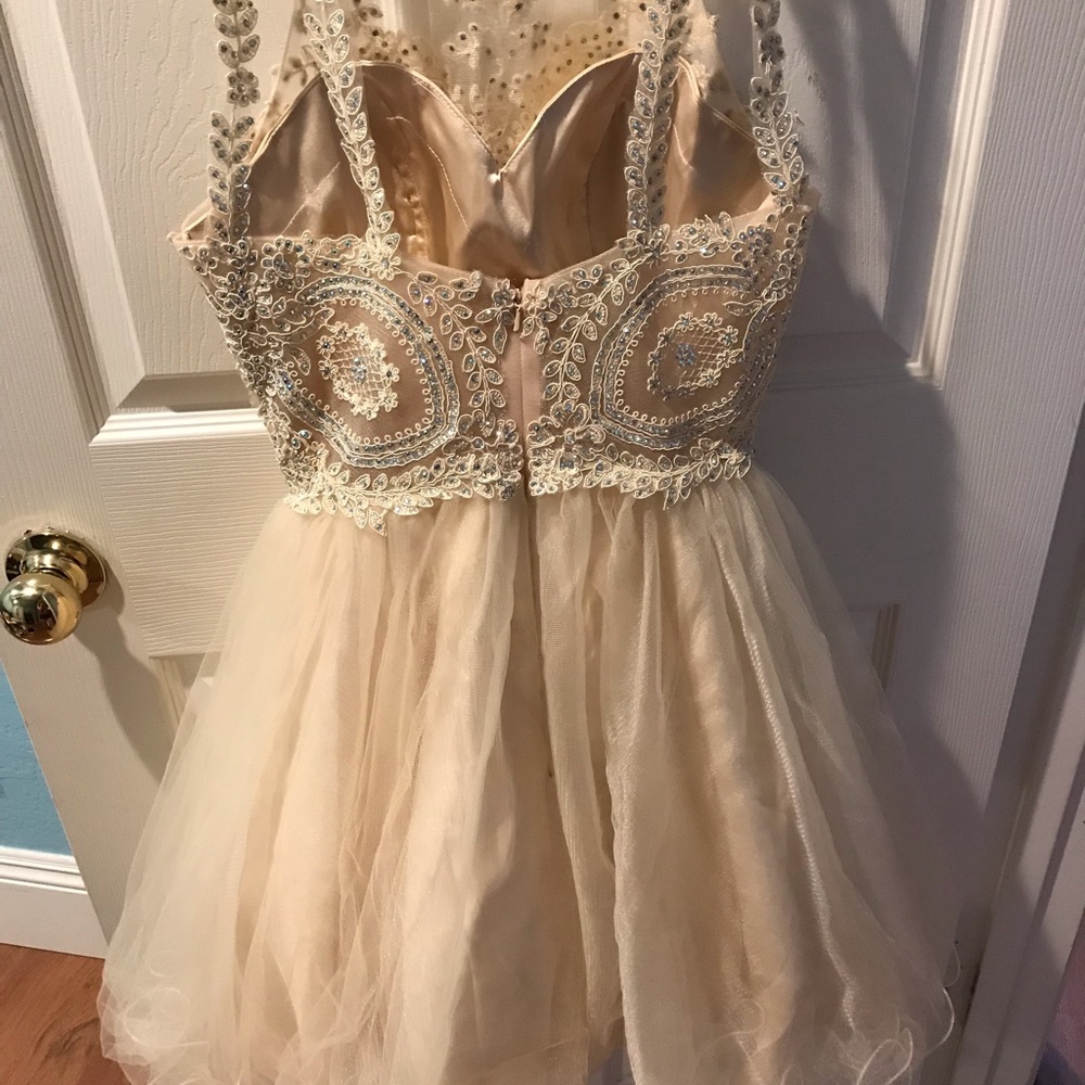 Homecoming or quinceañera dama dress